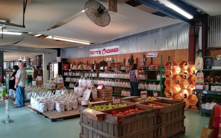 ハンツビル北部にあるりんご狩りができる果樹園 Scotts Orchard