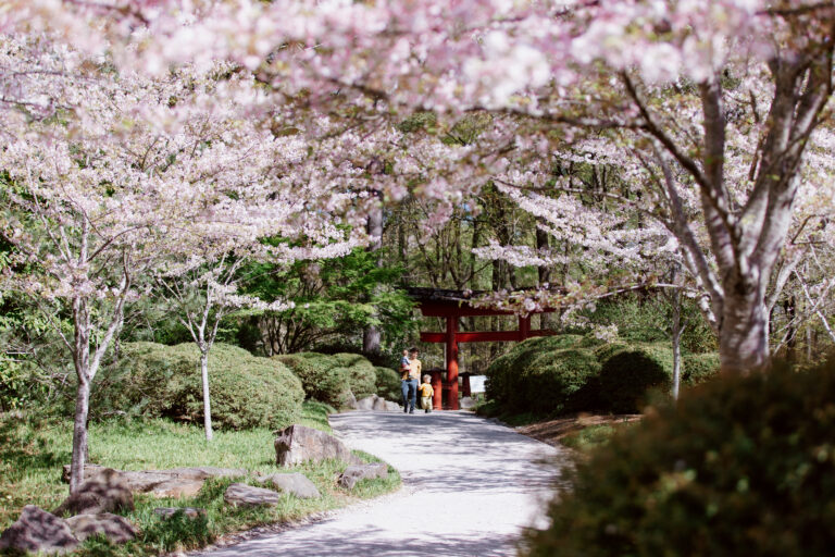 バーミングハムにある市民の憩いの場の植物園