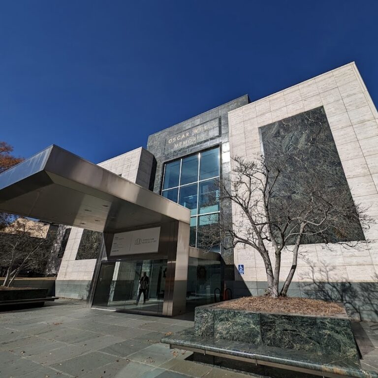 バーミングハムにある地元のアーティストから国際的な作品までが集まる美術館