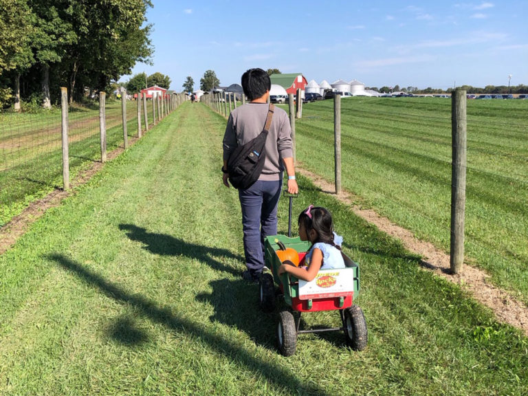 ラフィエット周辺の自然豊かな公園・農場