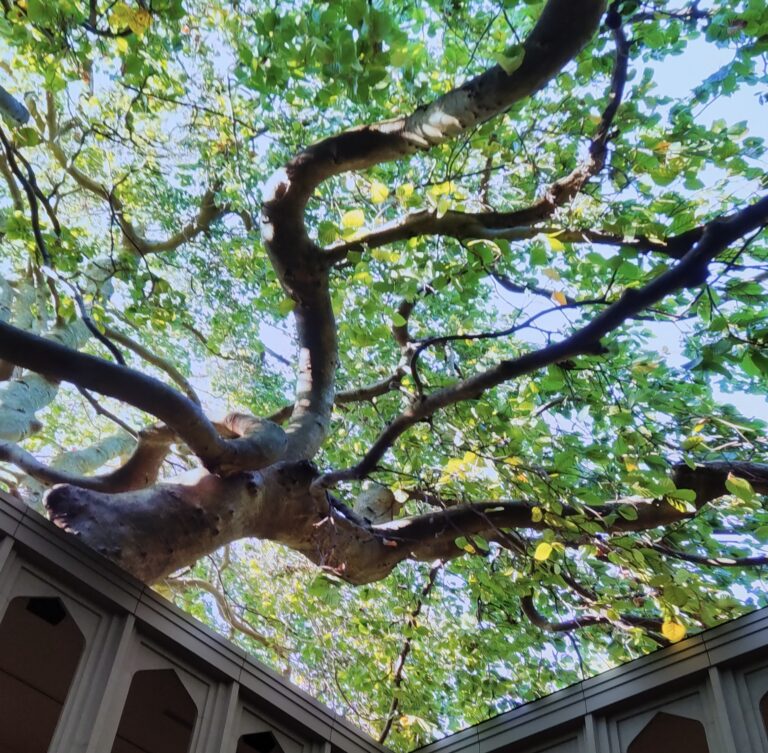 インディアナポリスにある美術館/Newfields