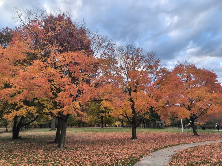 インディアナポリスのダウンタウン南方にあるガーフィールドパーク