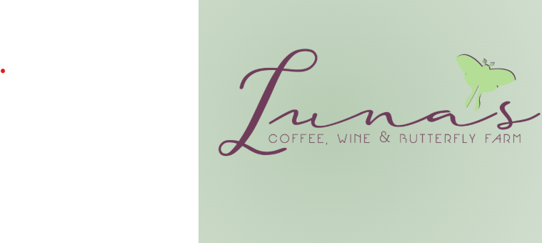 レキシントンの可愛いカフェ – Luna’s Coffee, Wine & Butterfly Farm