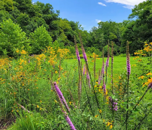フランクフォートのトレイルがある公園 – Cove Spring Park