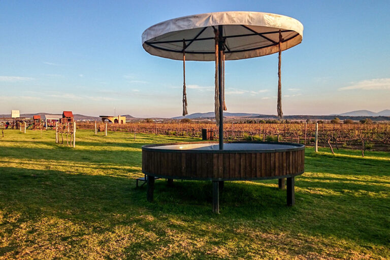 ケレタロの人気ワイナリー、ヴィンヤーズ ラ レドンダ