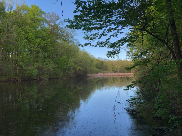 ミシガン州ノバイの南西に位置する州立公園、メイベリステートパーク