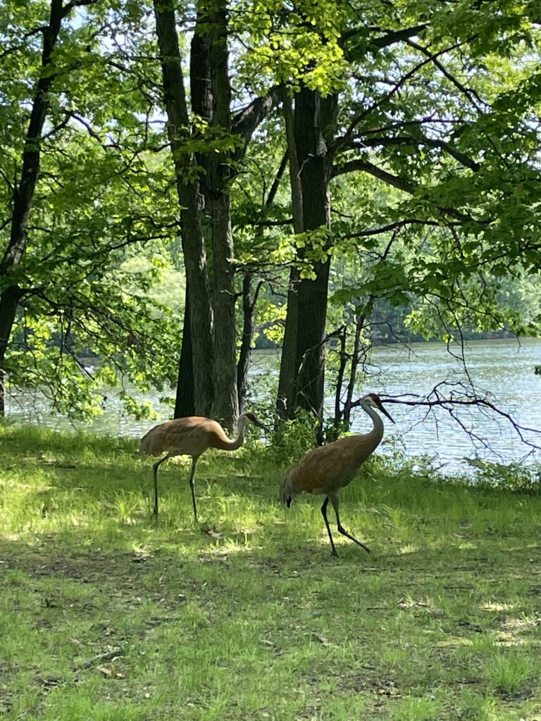 ミシガン州ノバイの北西に位置する公園、ケンジントンメトロパーク