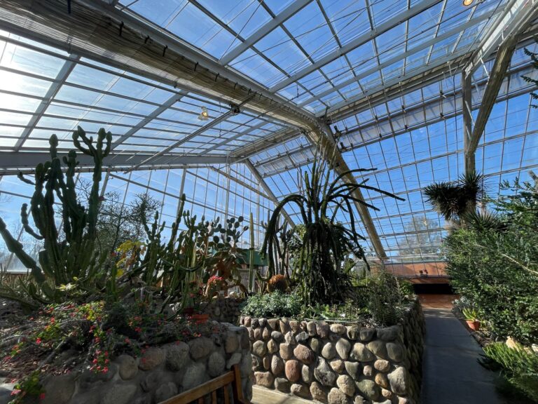 ミシガン州アナーバーの植物園、マタエイ・ボタニカル・ガーデンズ