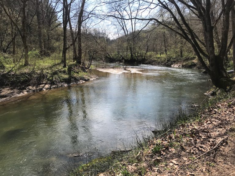 オハイオ州コロンバス周辺で楽しめるハイキング