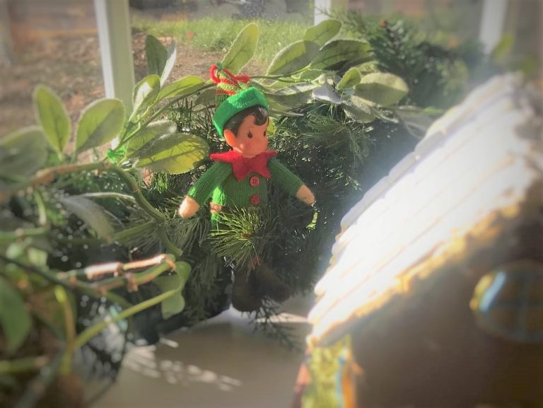 Historic Dublinの街がクリスマス一色に『Historic Dublin Christmas Events』