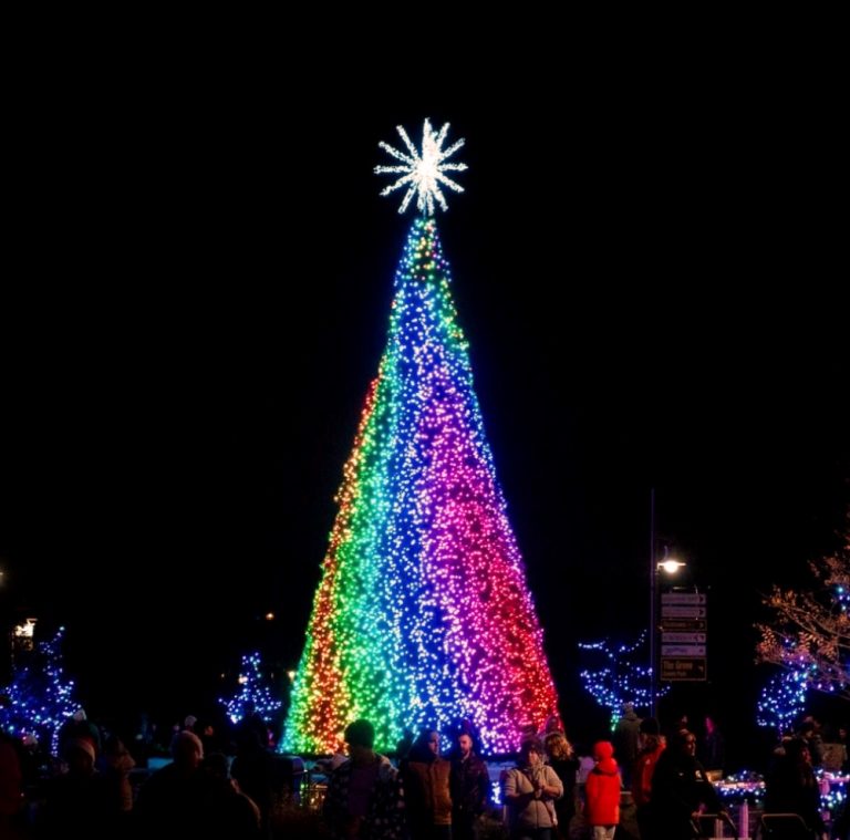 光と音で魅せる！オハイオのホリデーイルミネーション