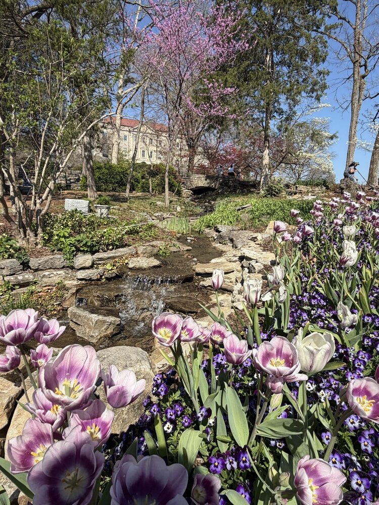 四季折々の景色が楽しめる癒しスポット『Cheekwood Estate & Gardens』
