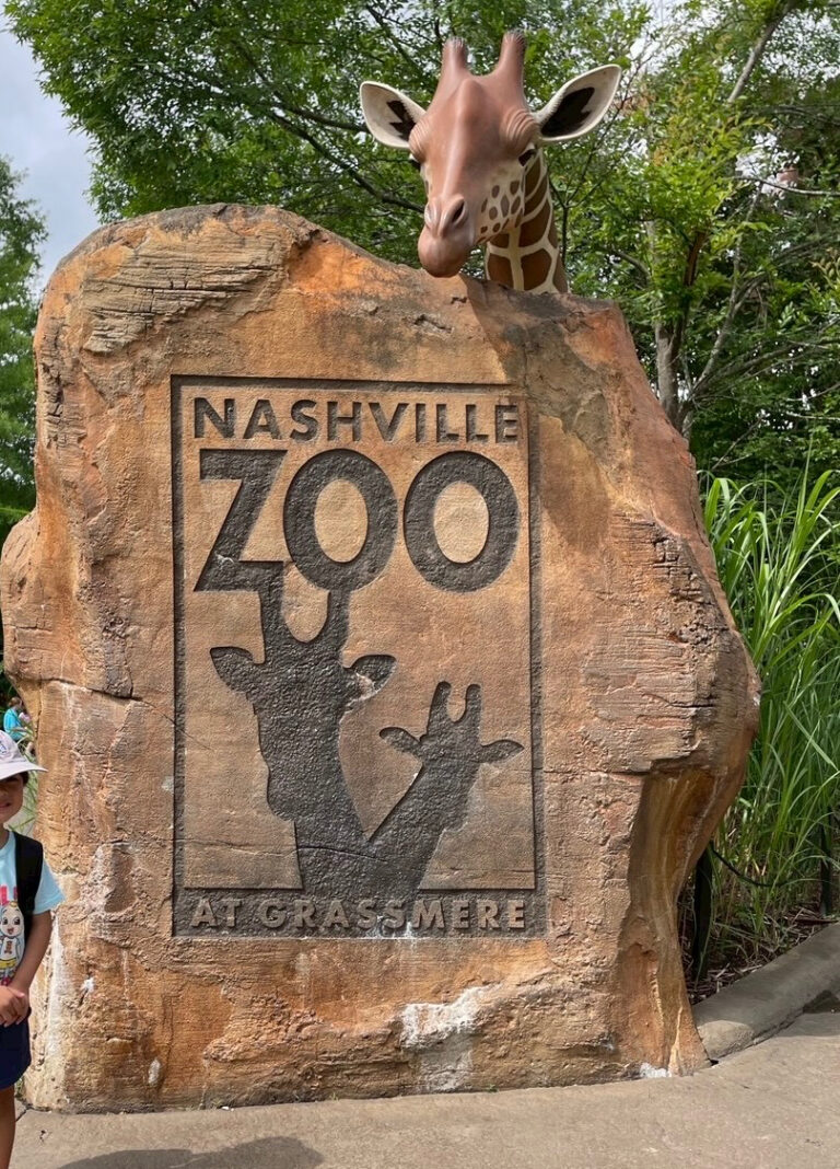 動物との距離が近い体験型動物園『ナッシュビル動物園』